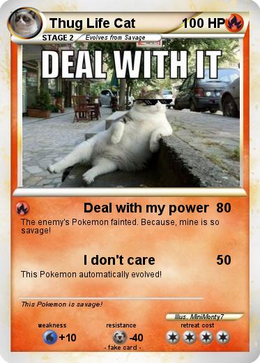 Pokemon Thug Life Cat