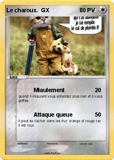 Pokemon Le charoux.  GX