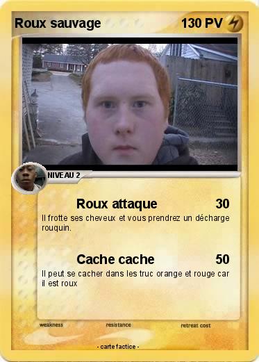 Pokemon Roux sauvage