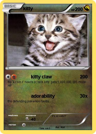 Pokemon kitty