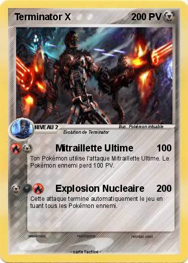 Pokemon Terminator X