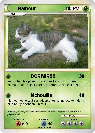 Pokemon Namour