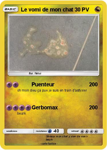 Pokemon Le vomi de mon chat