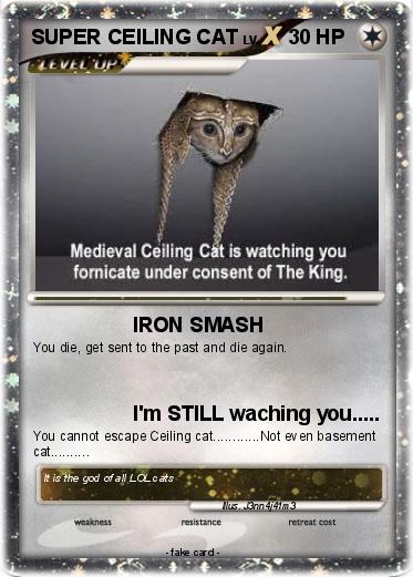 Pokemon SUPER CEILING CAT