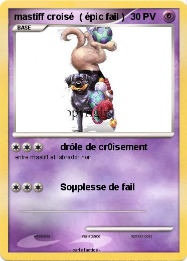 Pokemon mastiff croisé  ( épic fail )