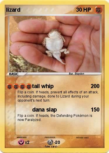 Pokemon lizard