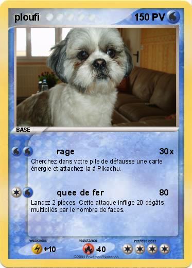 Pokemon ploufi