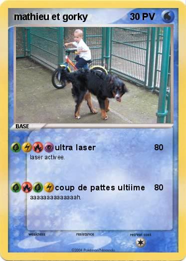 Pokemon mathieu et gorky