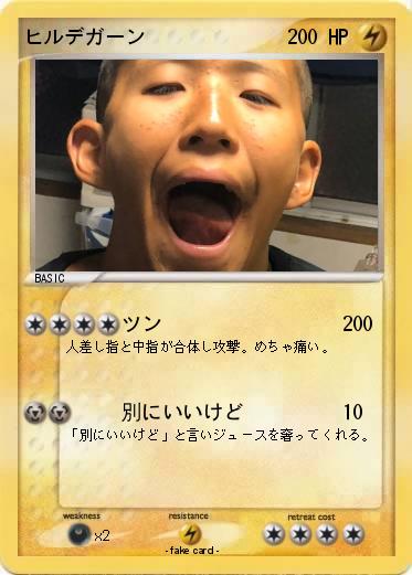 Pokemon ヒルデガーン