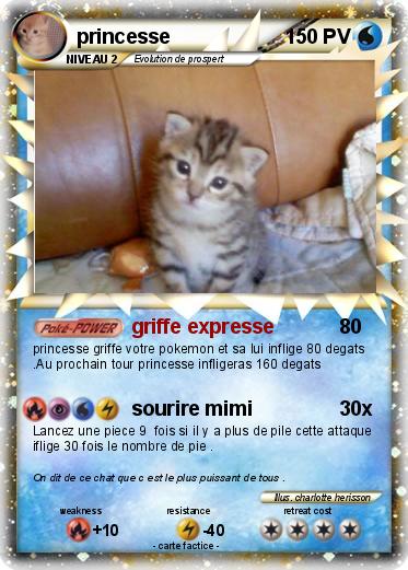 Pokemon princesse
