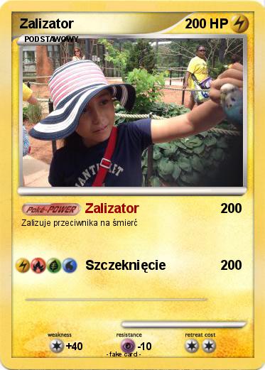 Pokemon Zalizator