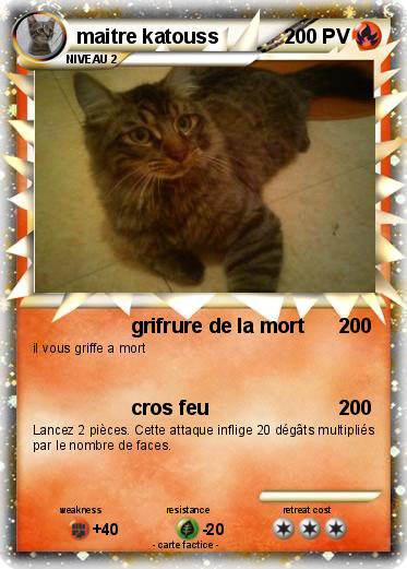 Pokemon maitre katouss