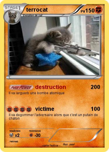Pokemon terrocat