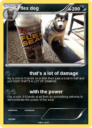 Pokemon flex dog