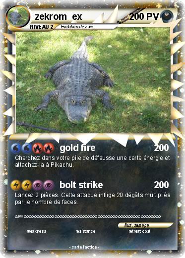Pokemon zekrom  ex