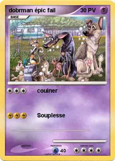 Pokemon dobrman épic fail