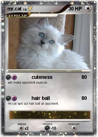 Pokemon mr.cat