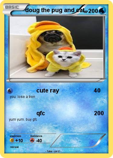 Pokemon doug the pug and cat
