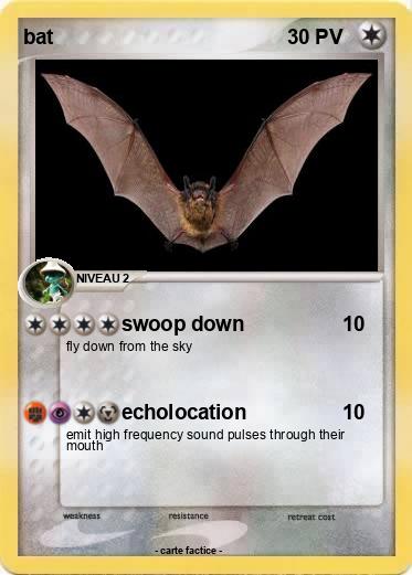 Pokemon bat