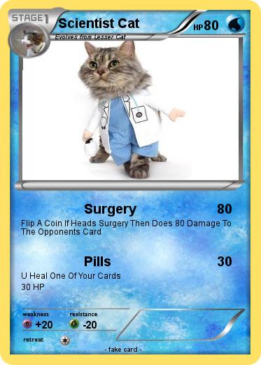 Pokemon Scientist Cat