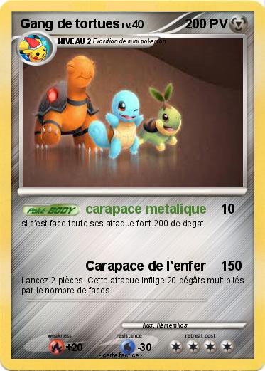 Pokemon Gang de tortues