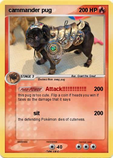 Pokemon cammander pug