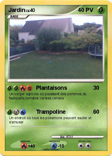 Pokemon Jardin