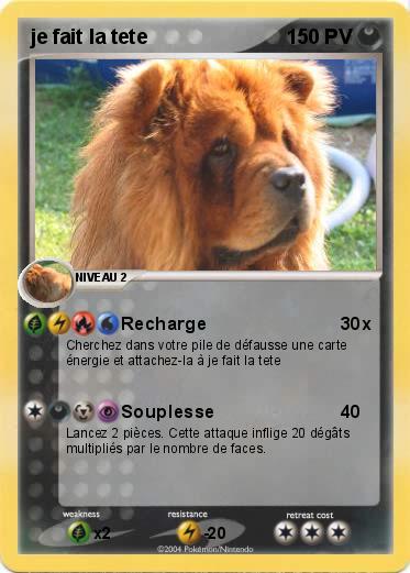 Pokemon je fait la tete