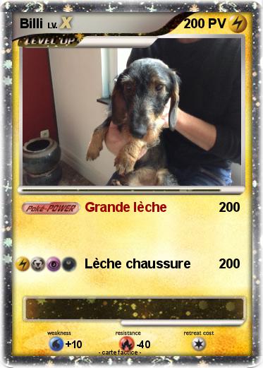 Pokemon Billi
