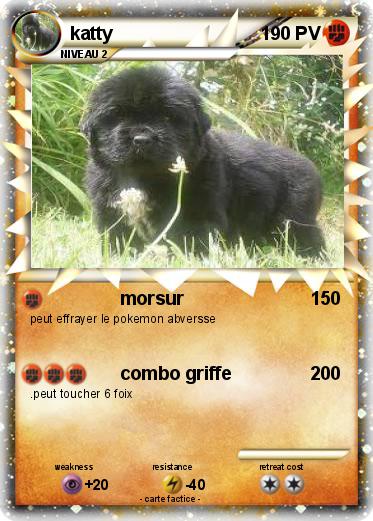 Pokemon katty