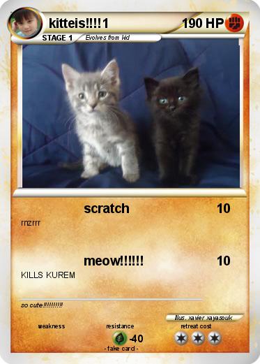 Pokemon kitteis!!!!1