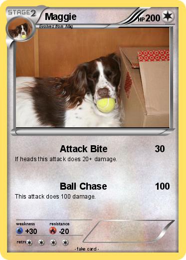 Pokemon Maggie