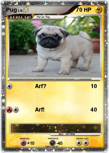 Pokemon Pug