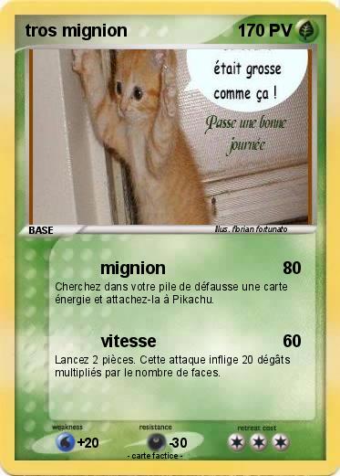 Pokemon tros mignion