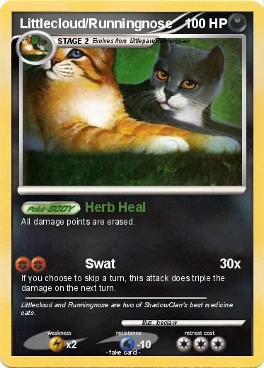 Pokemon Littlecloud/Runningnose