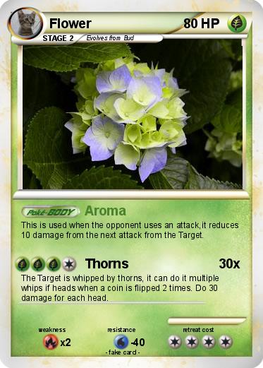 Pokemon Flower