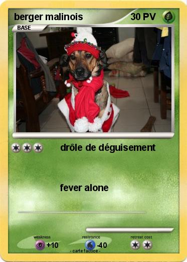 Pokemon berger malinois