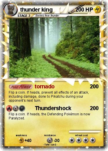 Pokemon thunder king