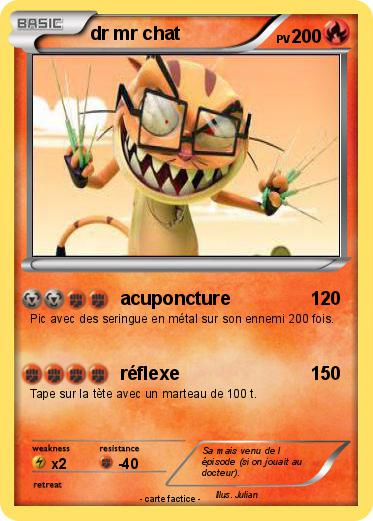 Pokemon dr mr chat