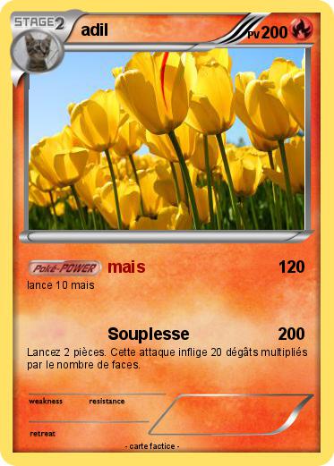 Pokemon adil