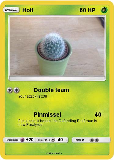 Pokemon Hoit