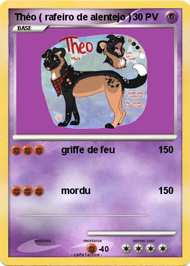 Pokemon Théo ( rafeiro de alentejo )