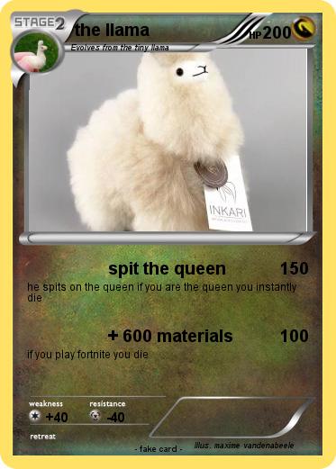 Pokemon the llama