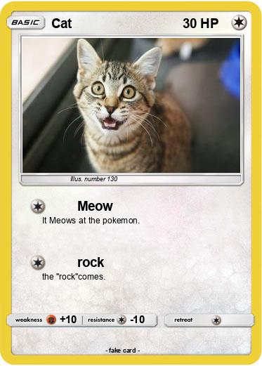 Pokemon Cat