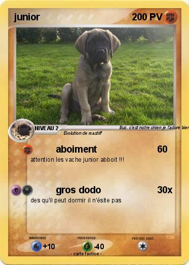 Pokemon junior