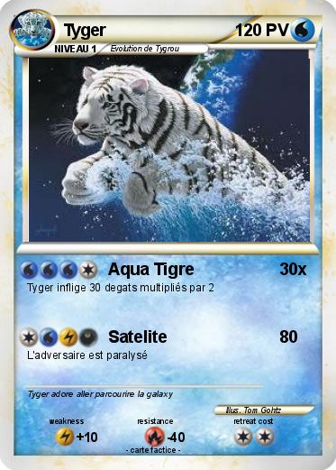 Pokemon Tyger