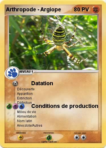 Pokemon Arthropode - Argiope