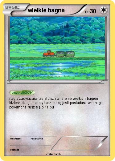 Pokemon wielkie bagna