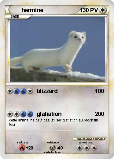 Pokemon hermine