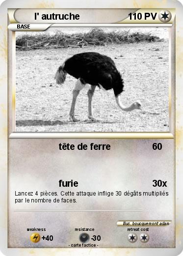 Pokemon l' autruche